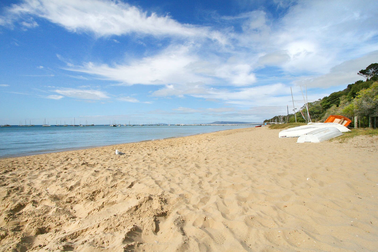 Property Gallery Thumbnail 5