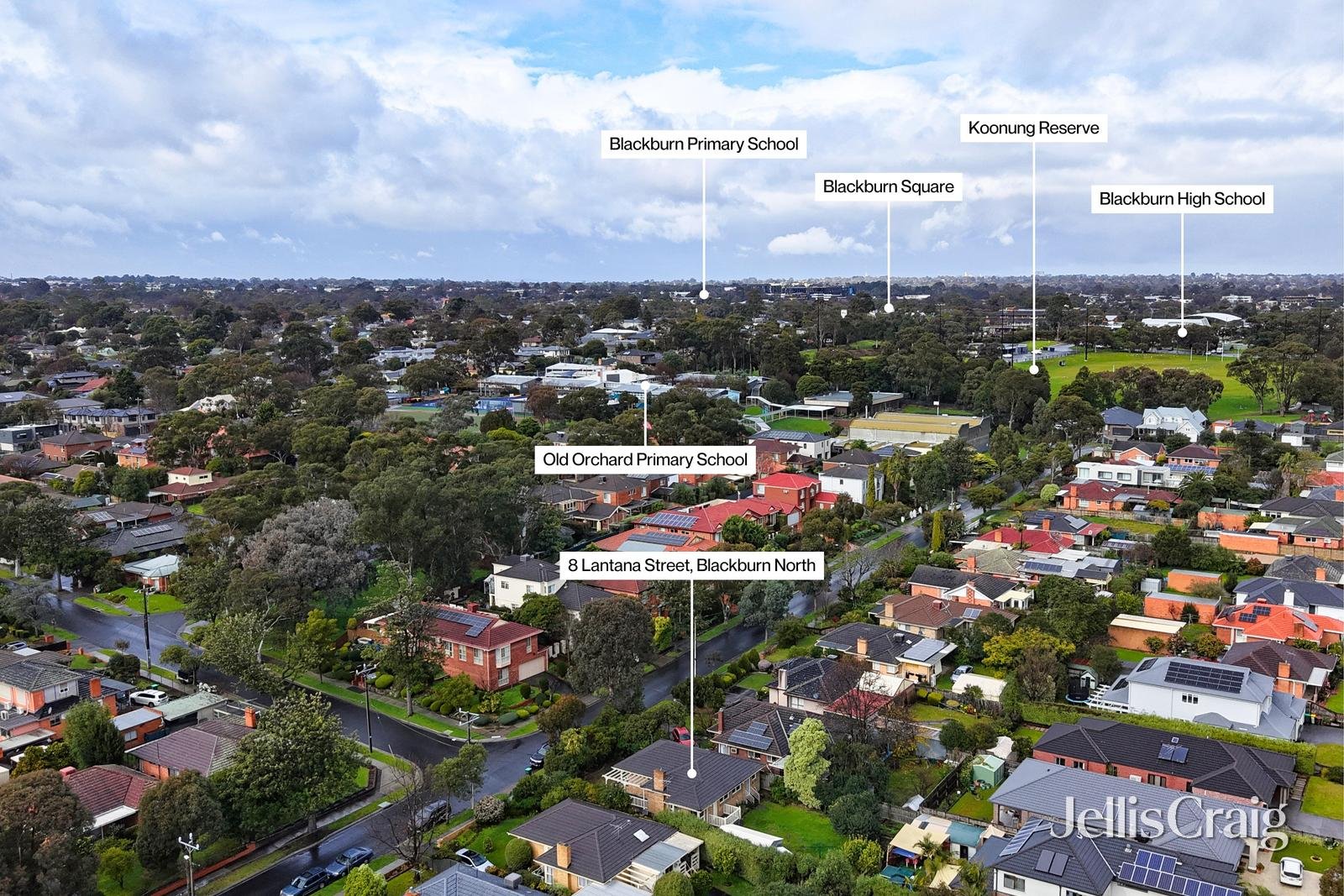 8 Lantana Street, Blackburn&nbsp;North image 15