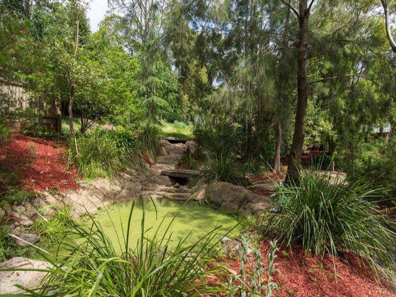 8 Lewis Road, Montrose image 19