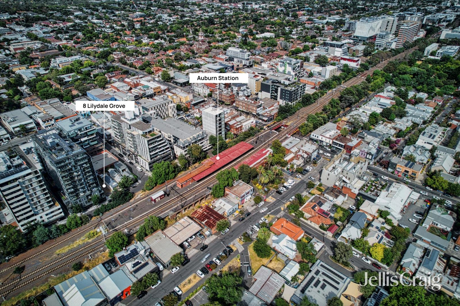 8 Lilydale Grove, Hawthorn&nbsp;East image 4