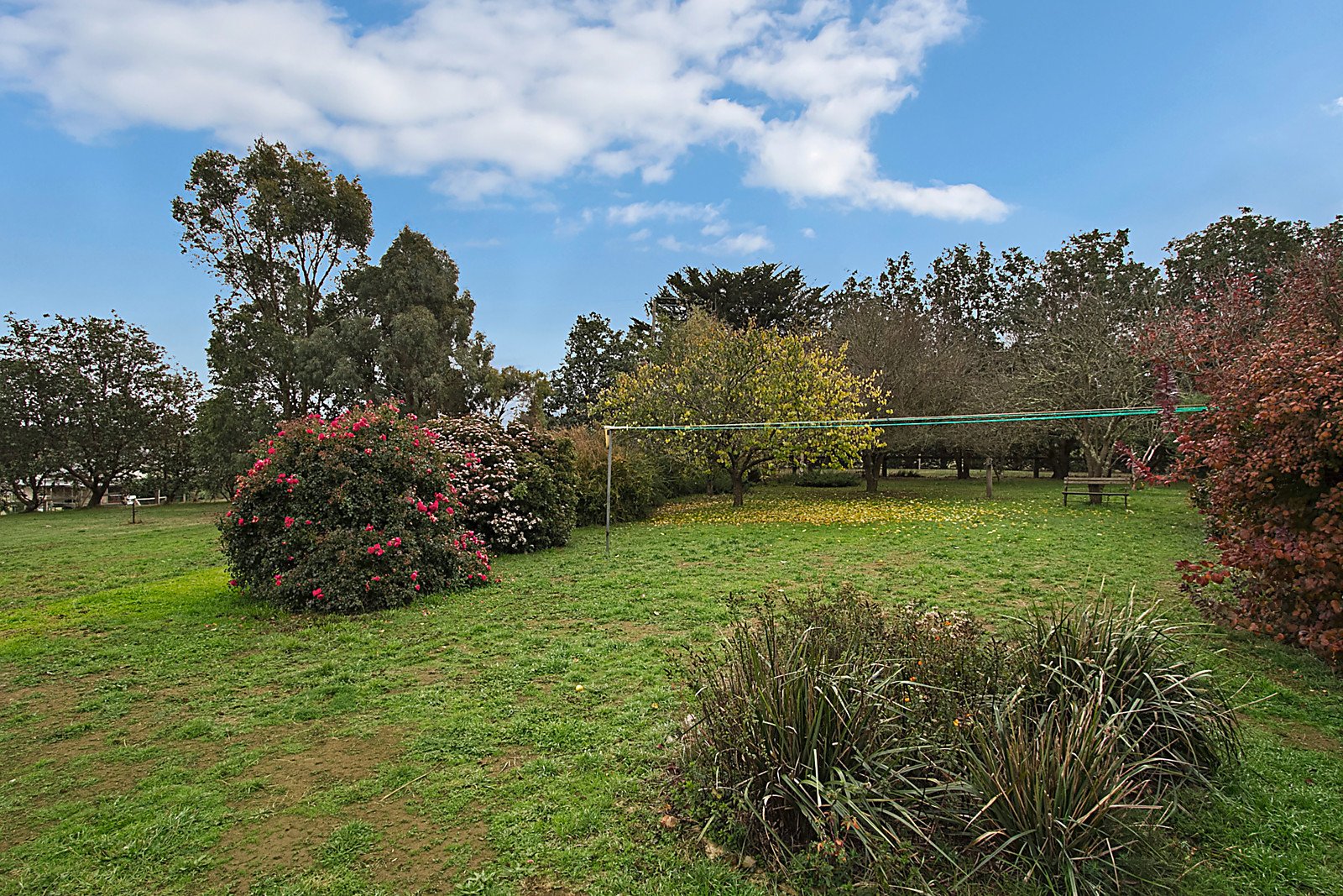 8 Lodgewood Road, Woodend image 11