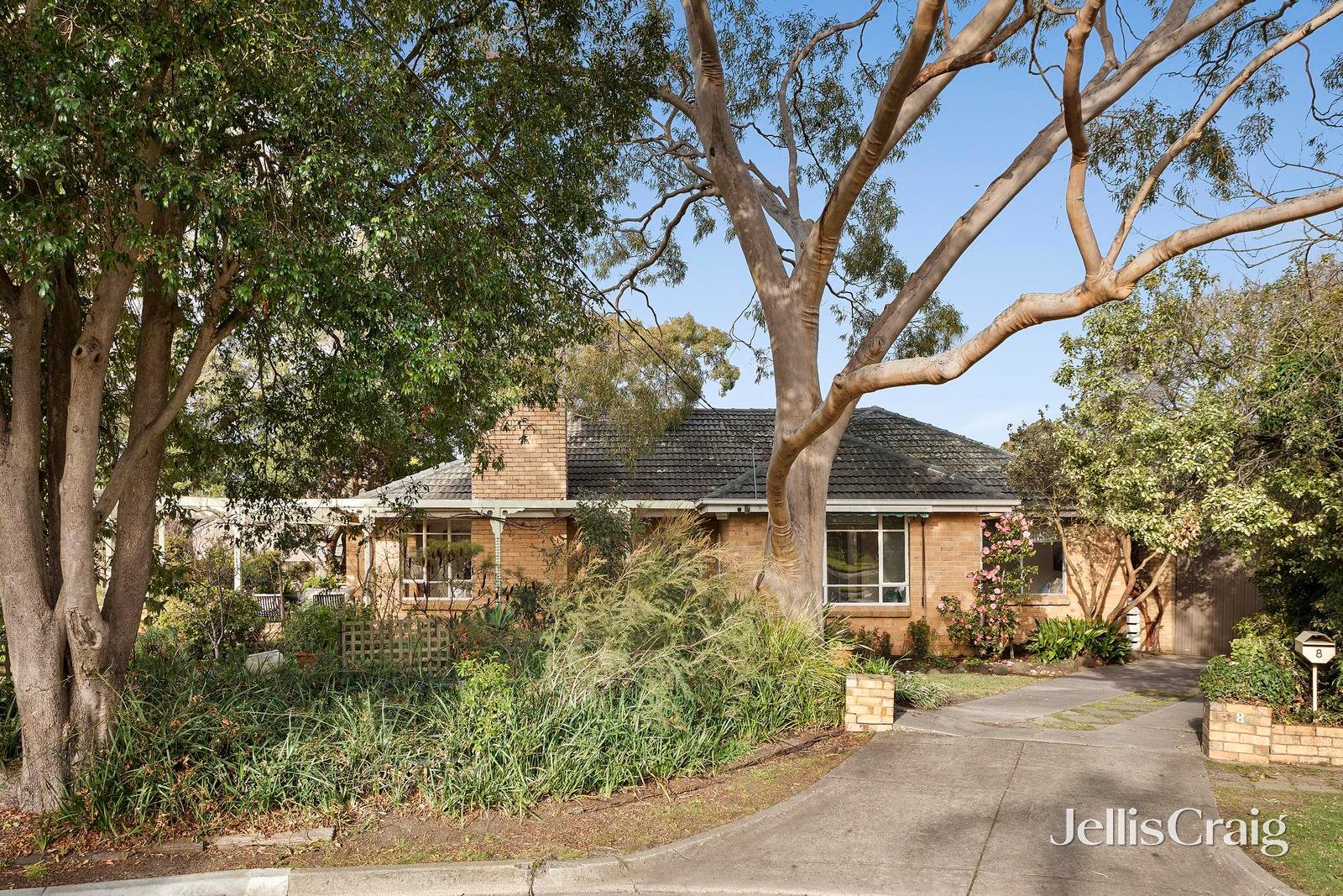 8 Mckay Court, Ringwood image 1