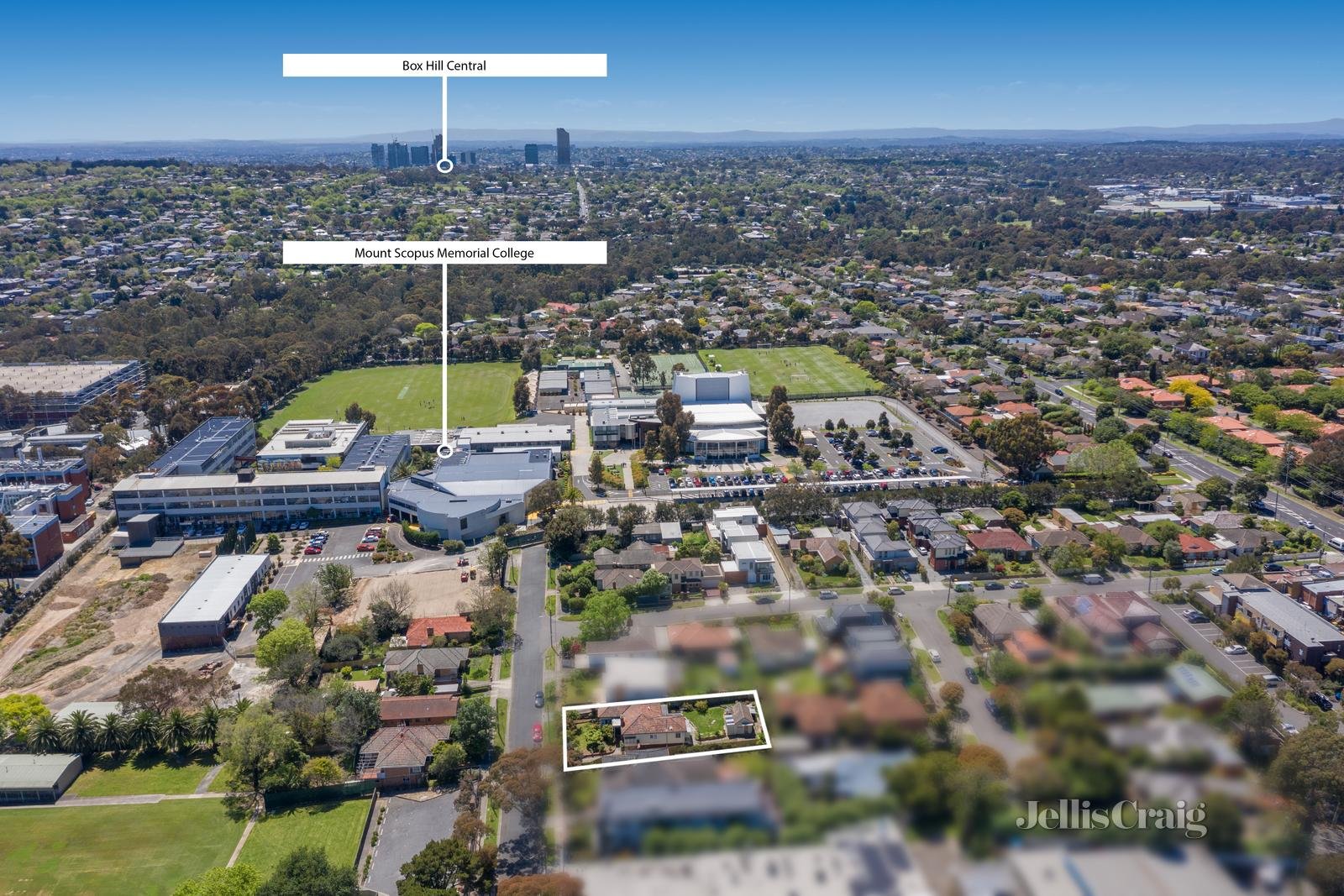 8 Milford Avenue, Burwood image 5