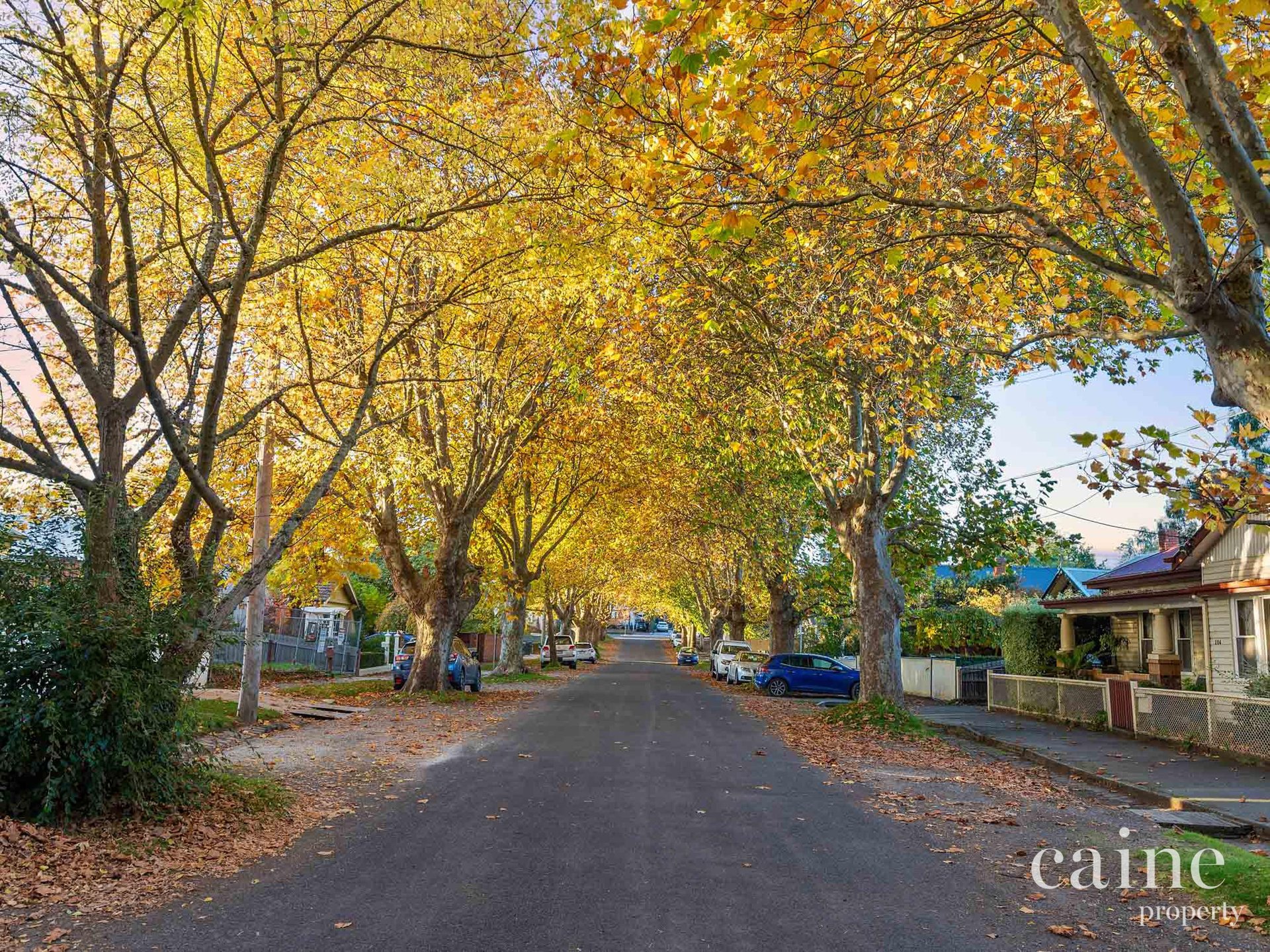 8 Mill Street, Ballarat Central image 21