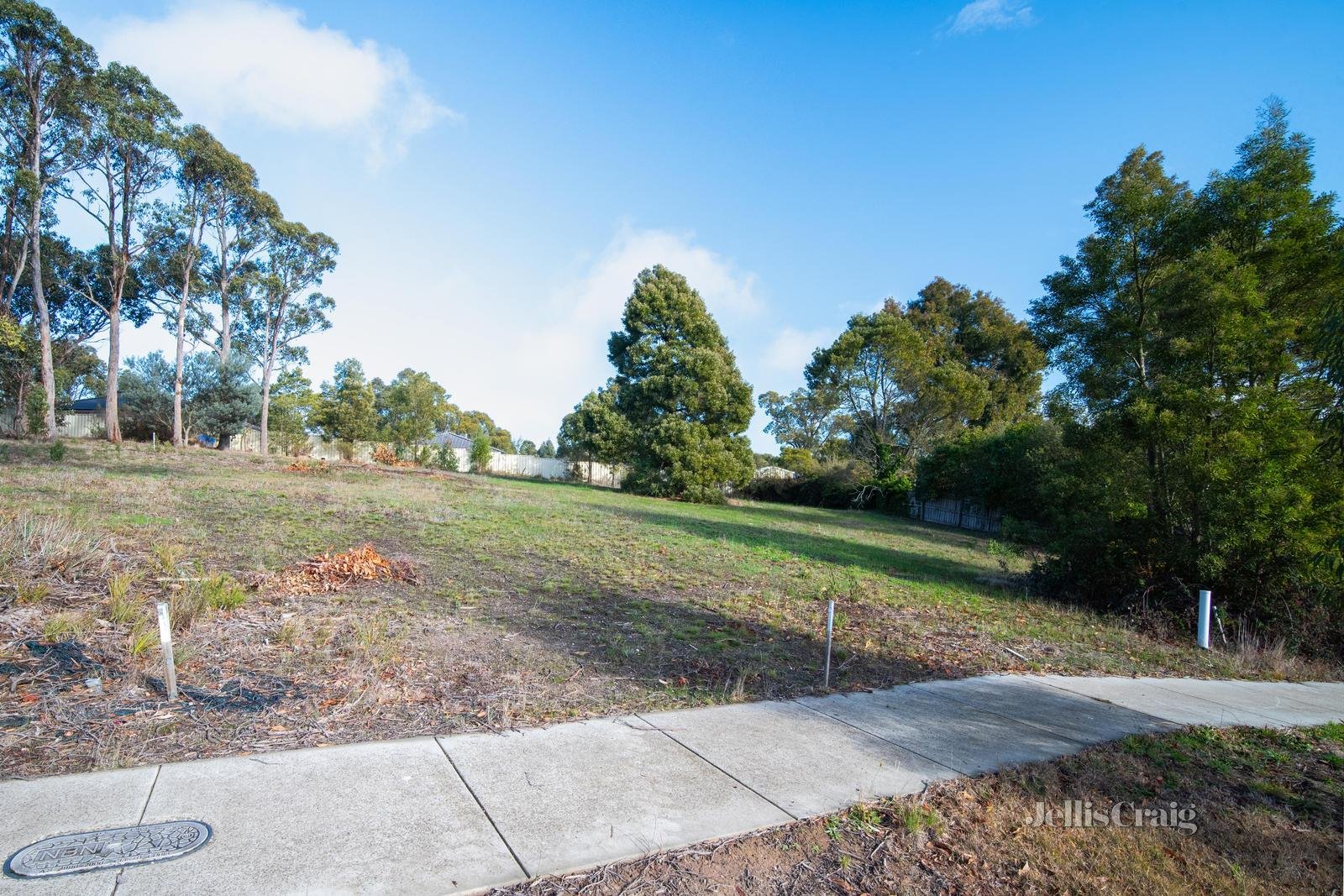 8 Nyora Grove, Mount Helen image 5