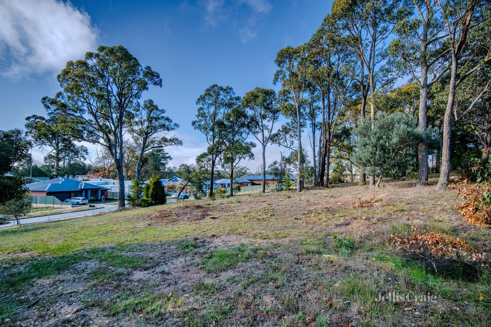 8 Nyora Grove, Mount Helen image 6