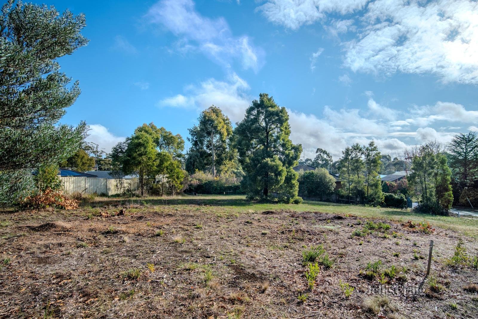 8 Nyora Grove, Mount Helen image 7