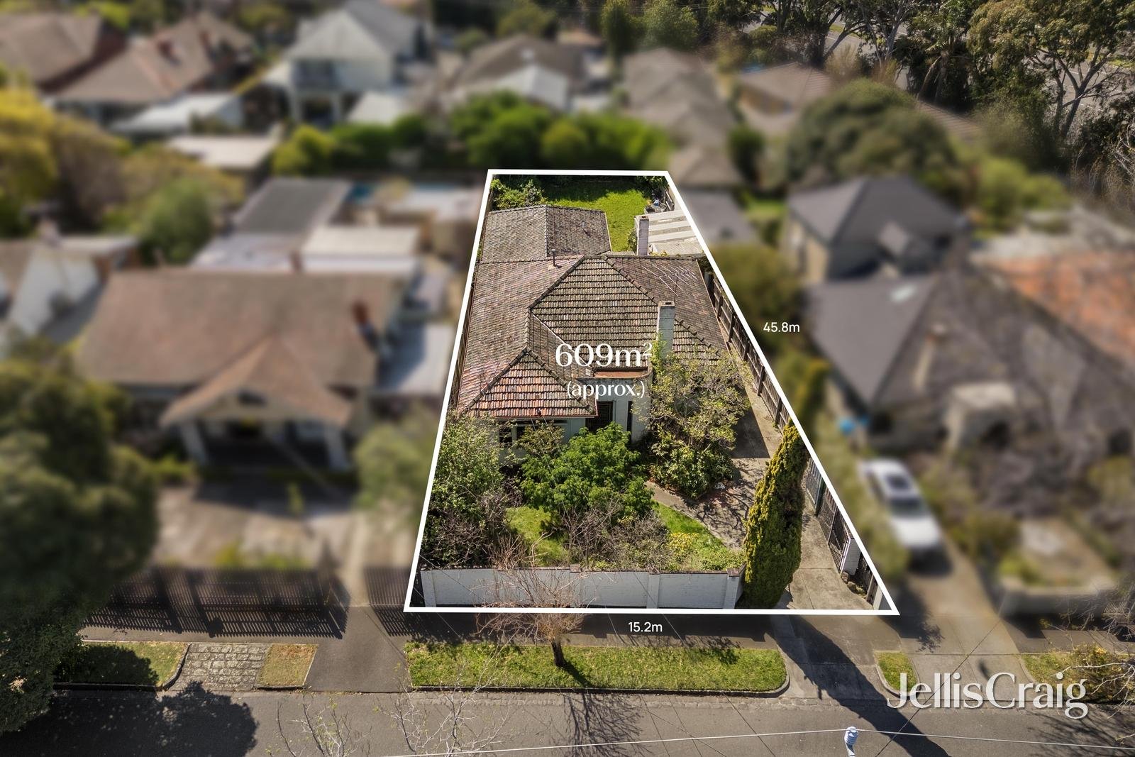 8 Oakwood Avenue, Brighton image 1