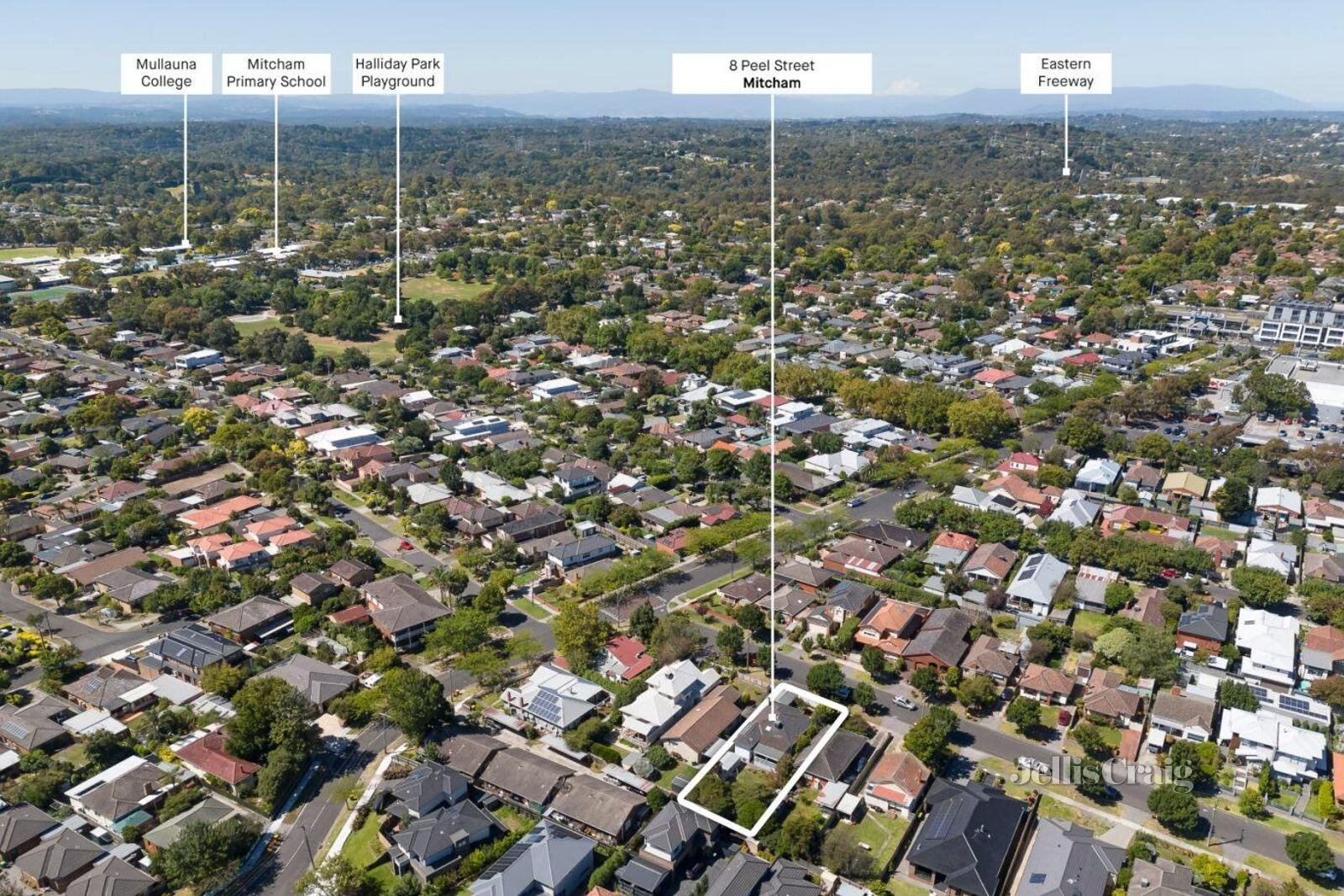 8 Peel Street, Mitcham image 10