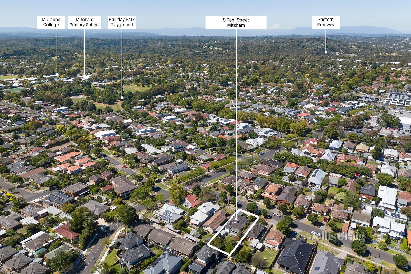 8 Peel Street, Mitcham image 12