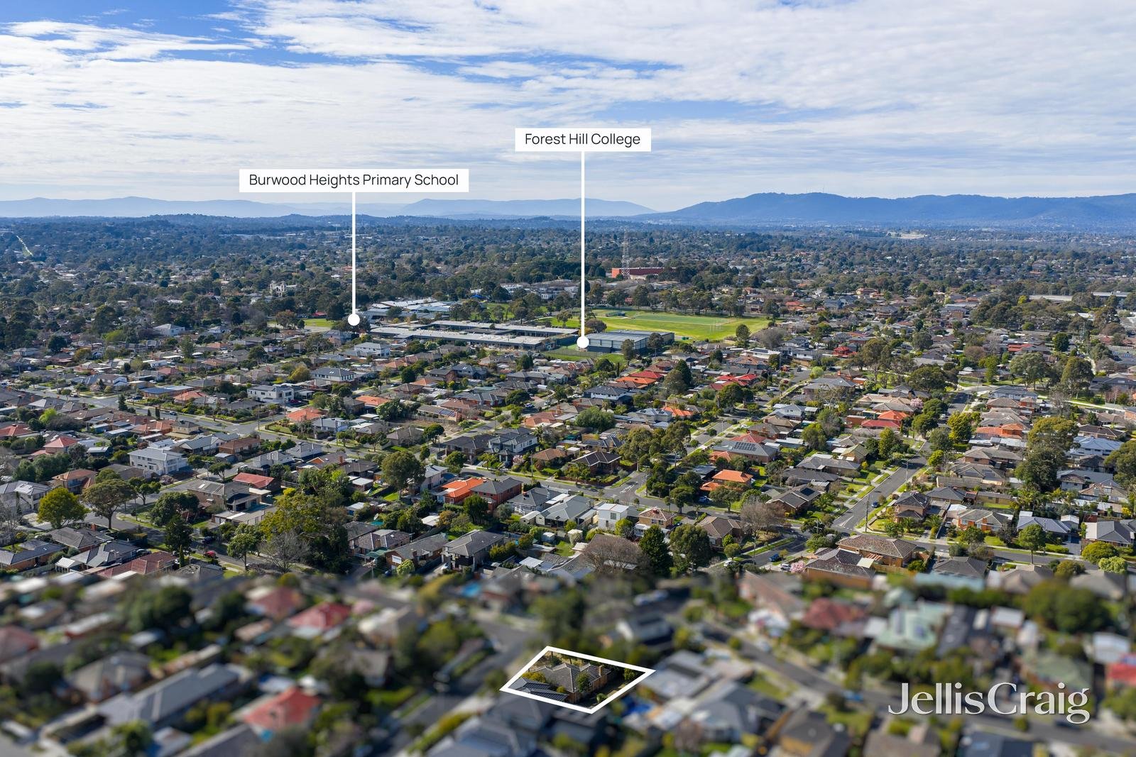 8 Pickford Street, Burwood East image 12