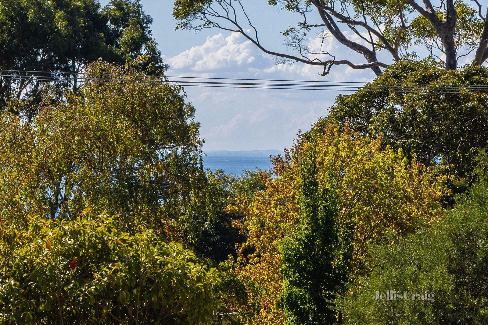 8 Ramsay Court, Mount Martha image 19