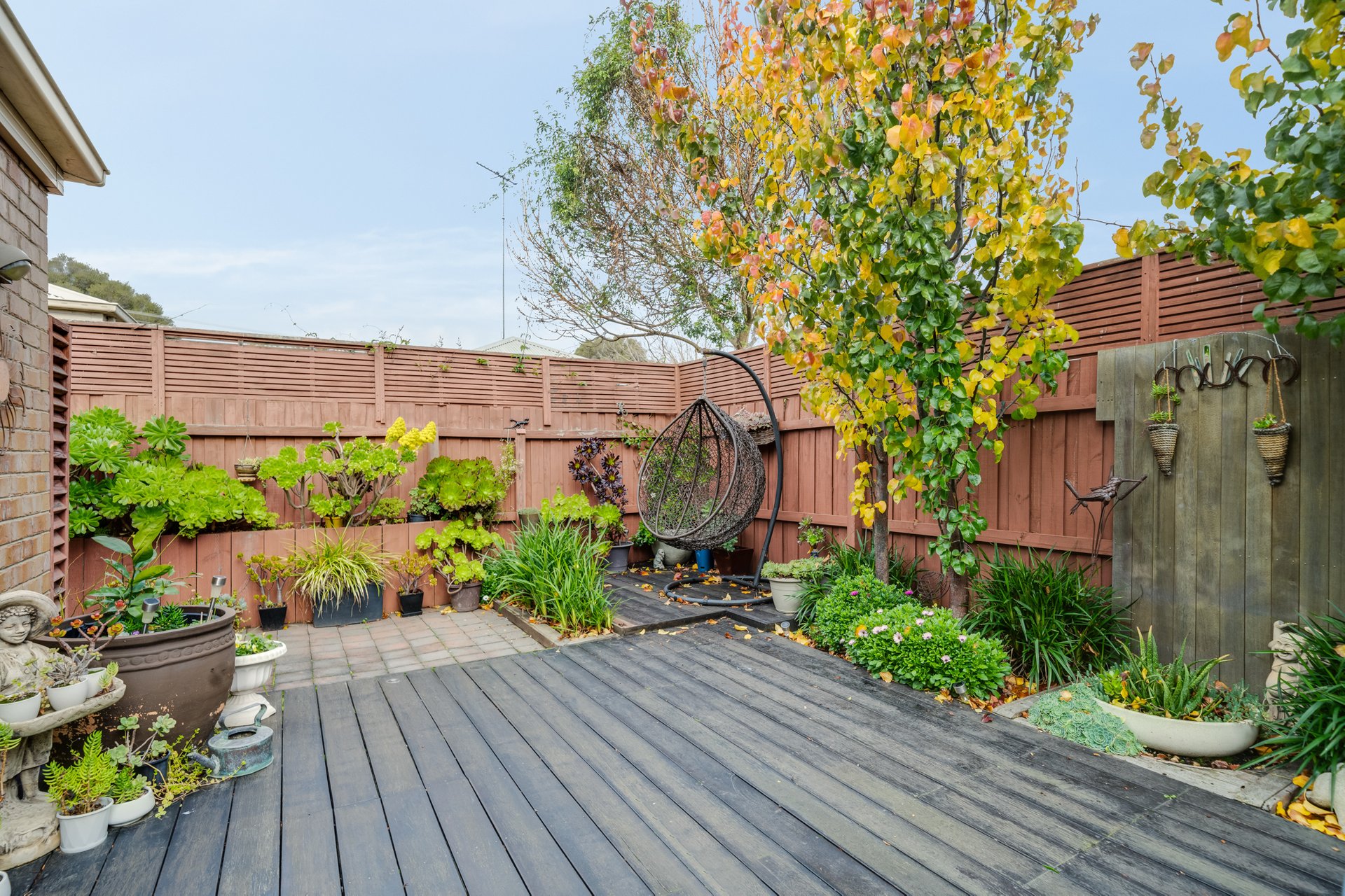 8 Redgum Court, Belmont image 8