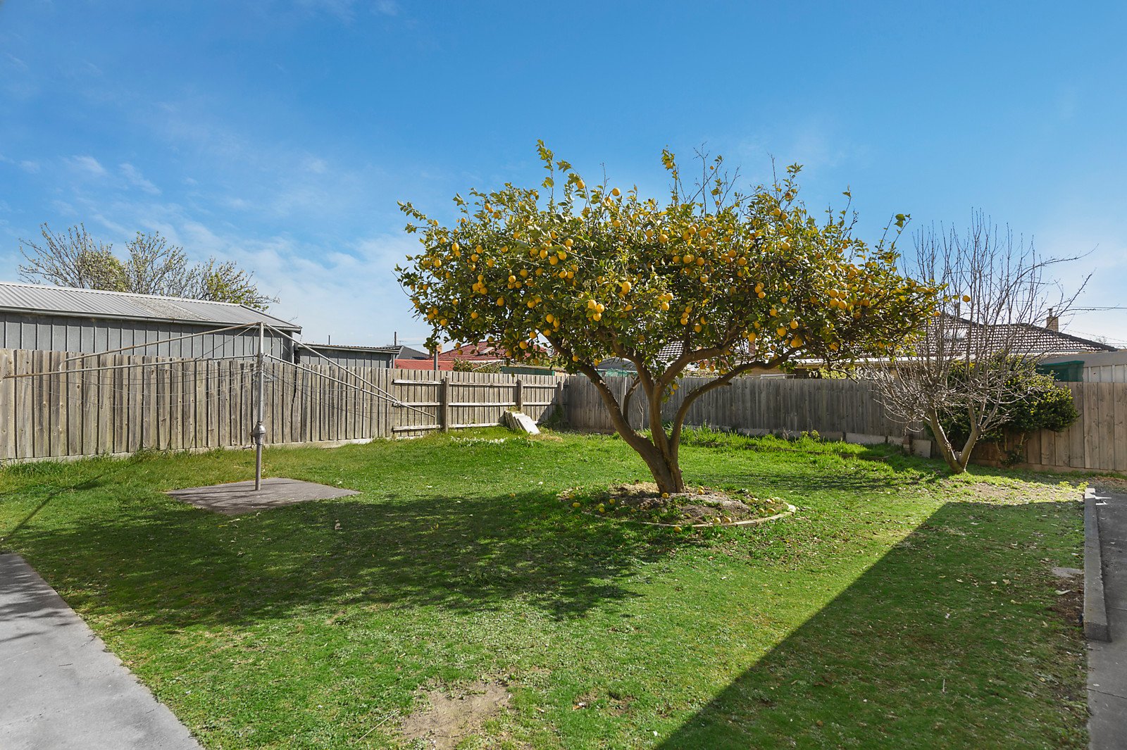 8 Reilly Street, Springvale image 5