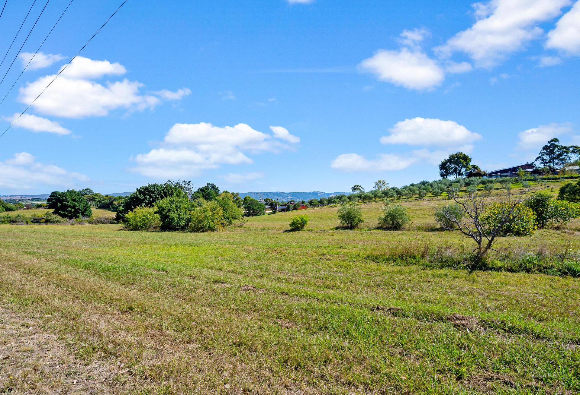 8 Rudduck Lane, Coldstream image 14