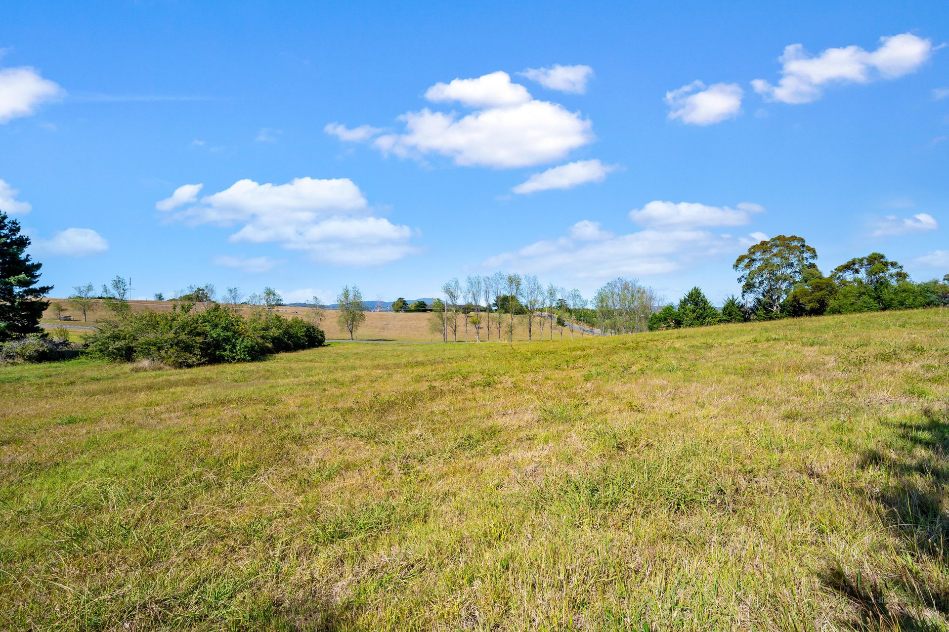 8 Rudduck Lane, Coldstream image 15