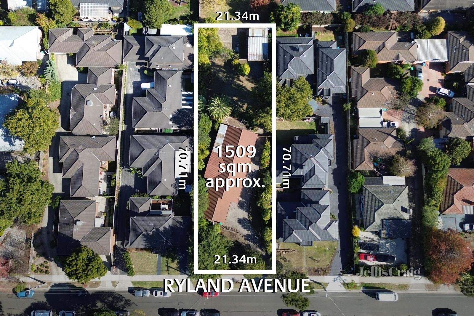 8 Ryland Avenue, Croydon image 2