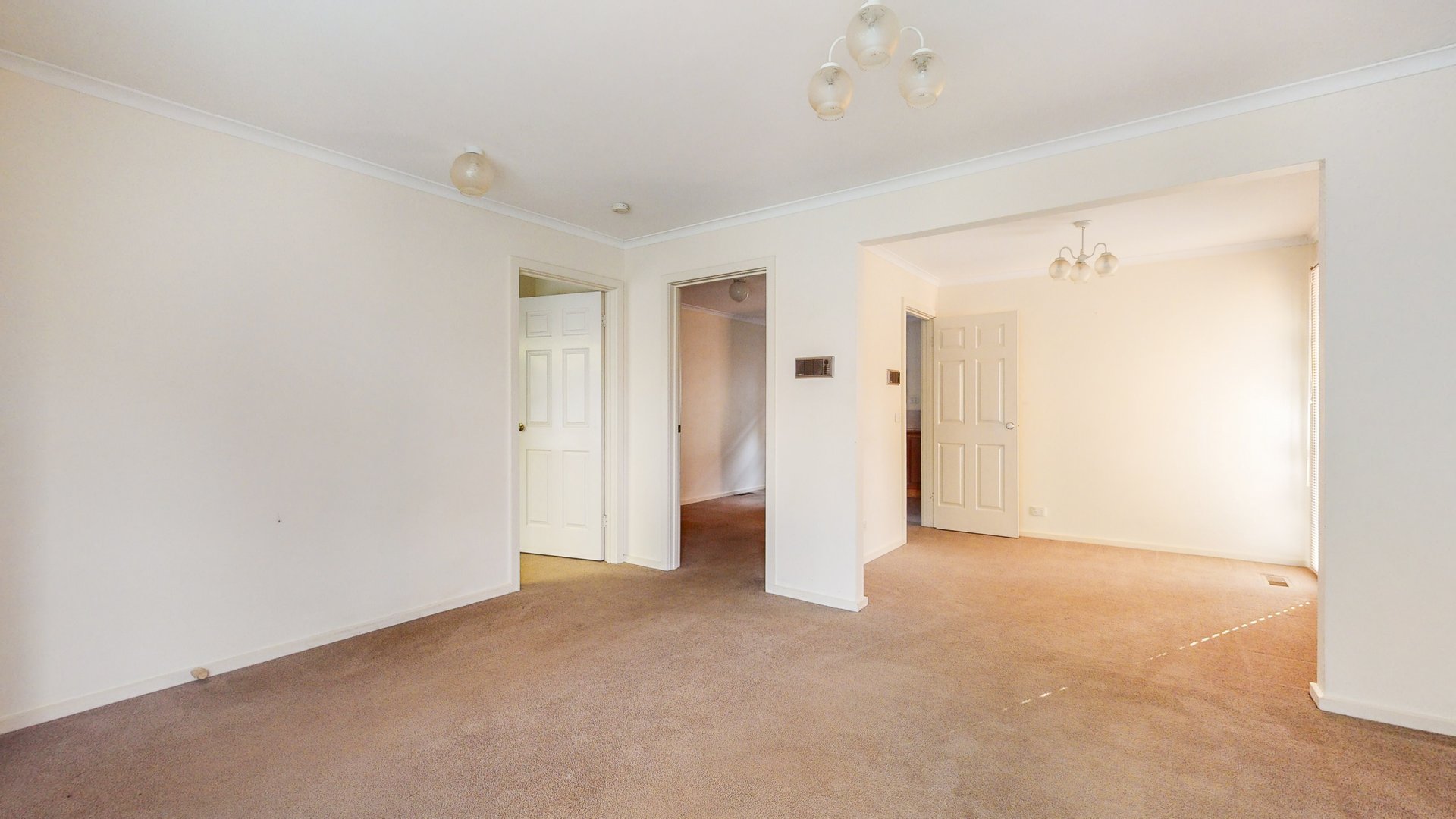 8 Shepreth Street, Surrey Hills image 4