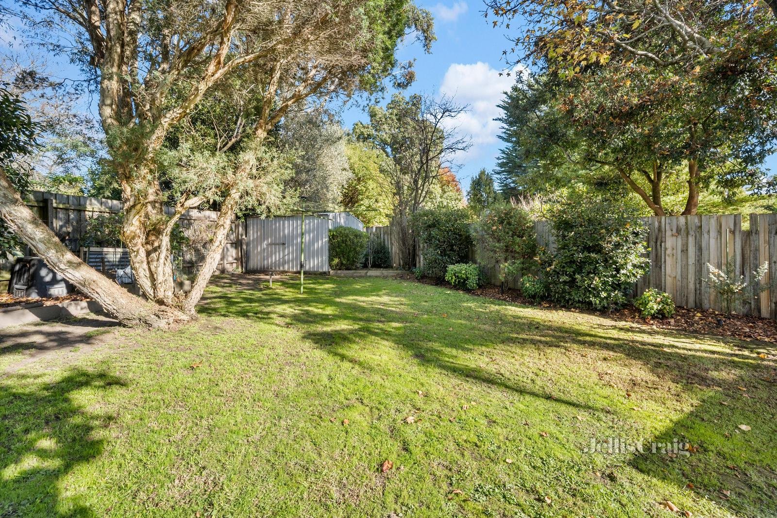 8 Terrung Court, Croydon North image 15