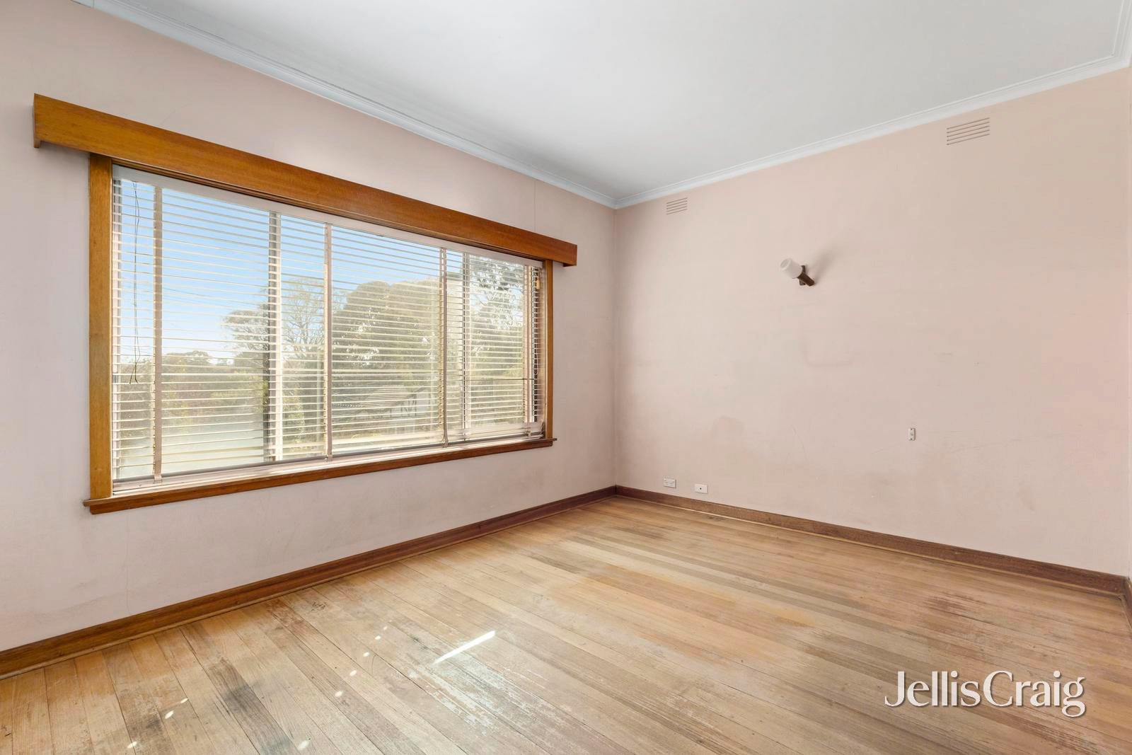 8 White Street, Mount&nbsp;Waverley image 12
