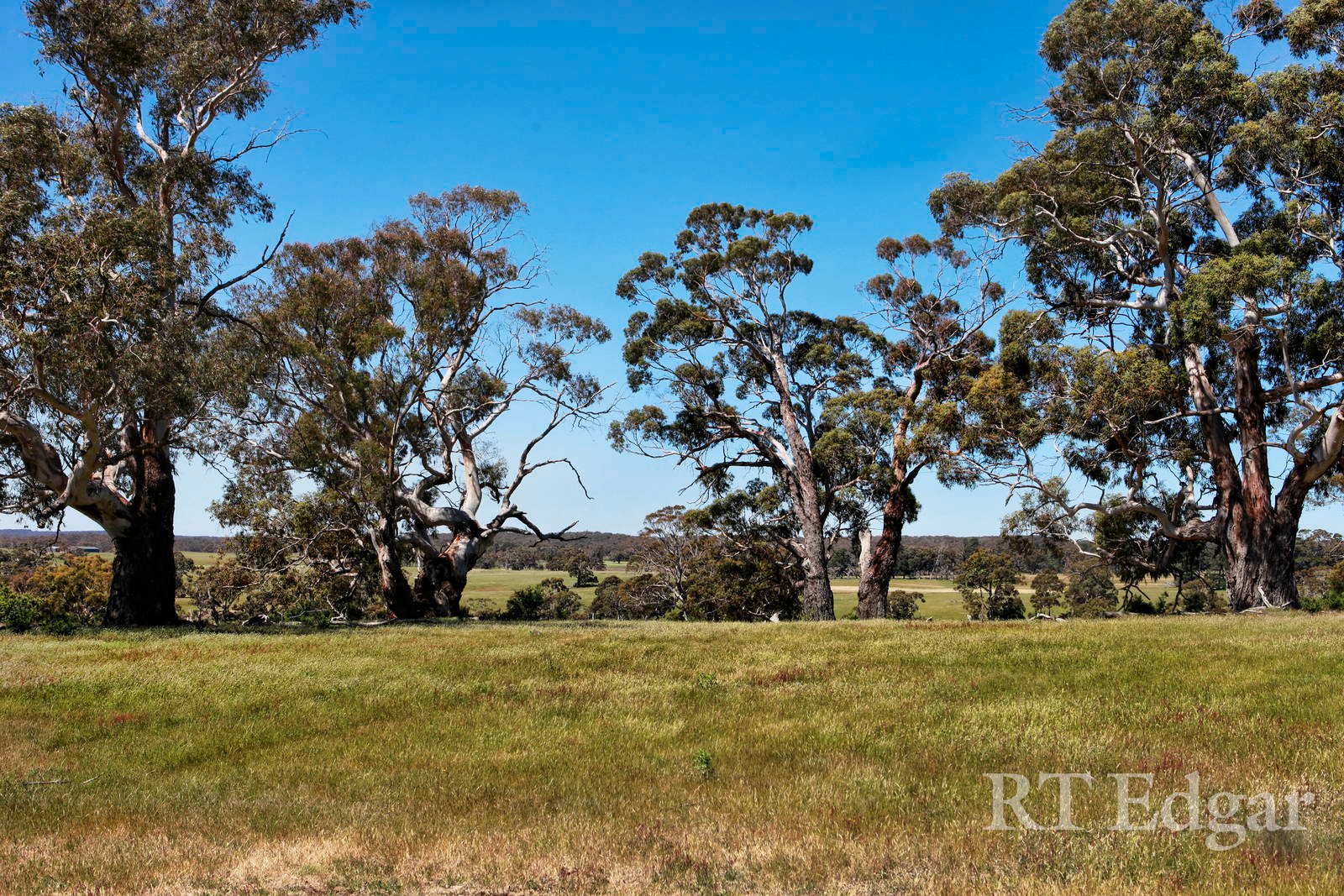Property Gallery Thumbnail 2
