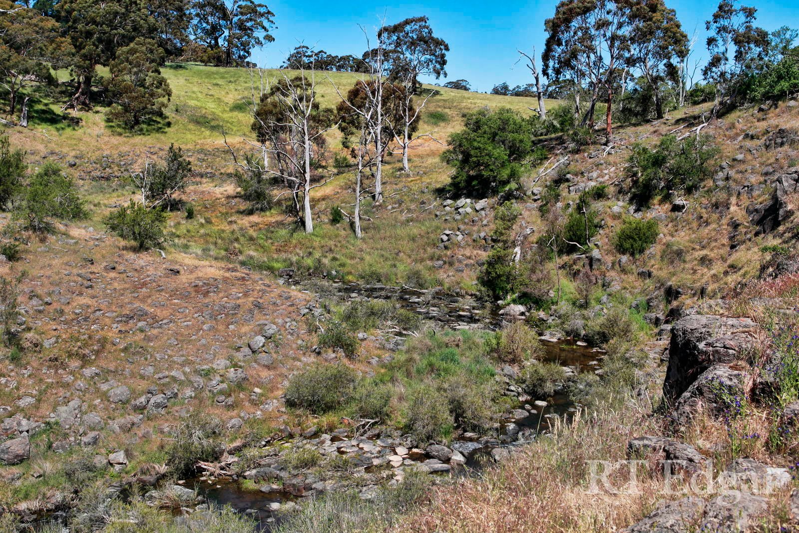 Property Gallery Thumbnail 4