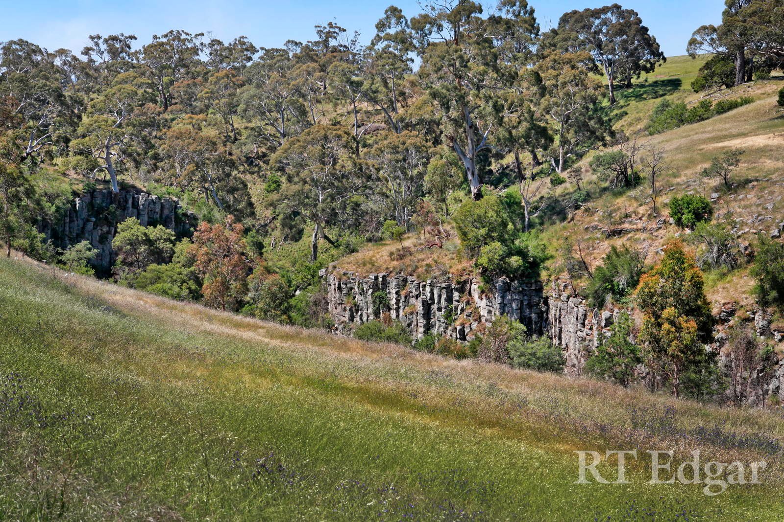 Property Gallery Thumbnail 5