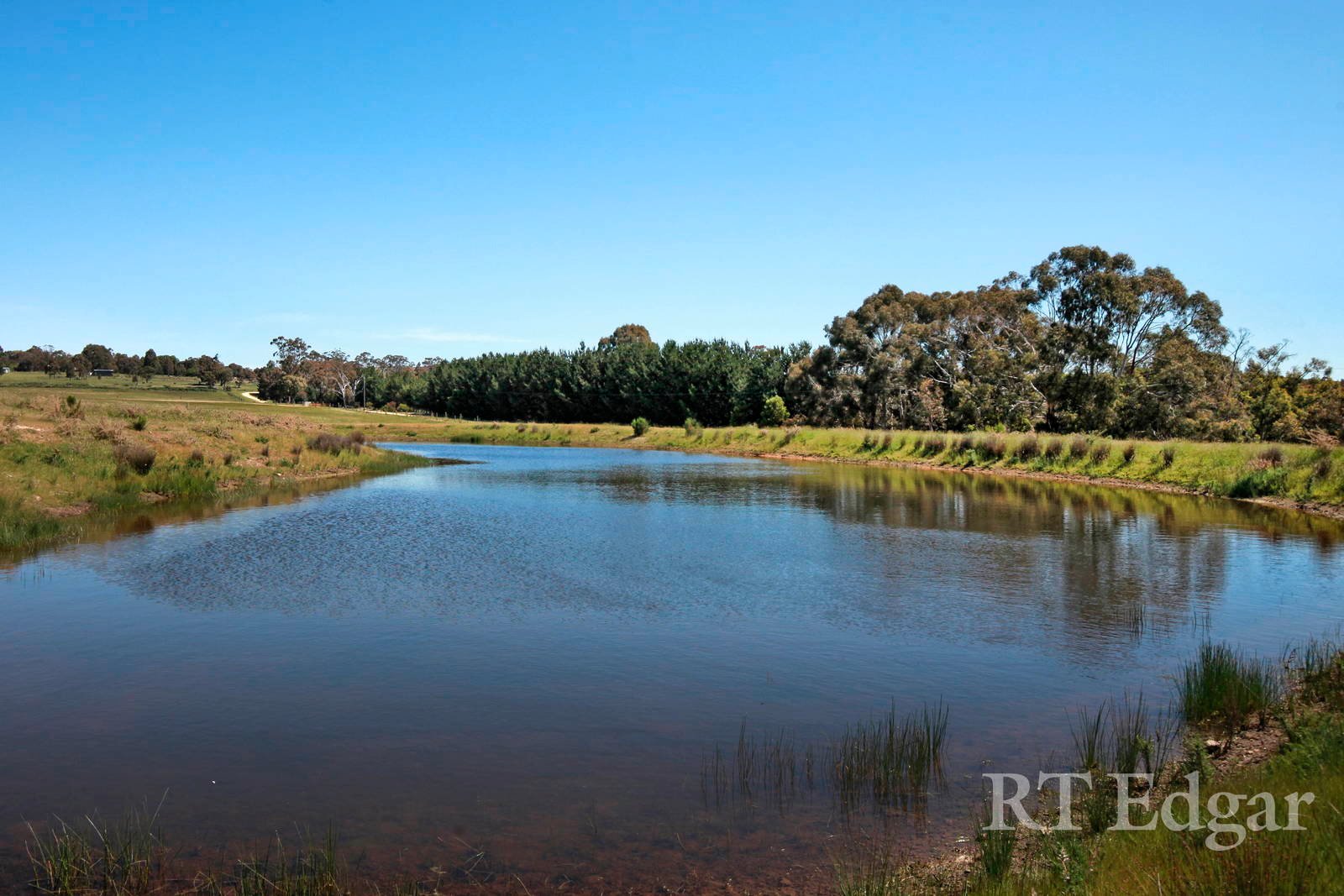 Property Gallery Thumbnail 7