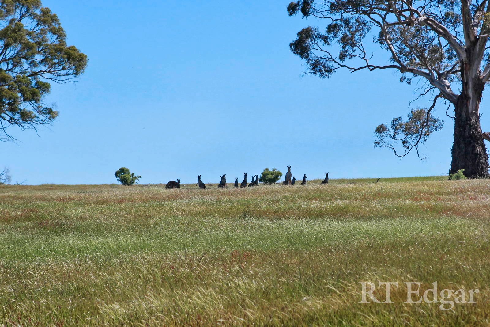 Property Gallery Thumbnail 10