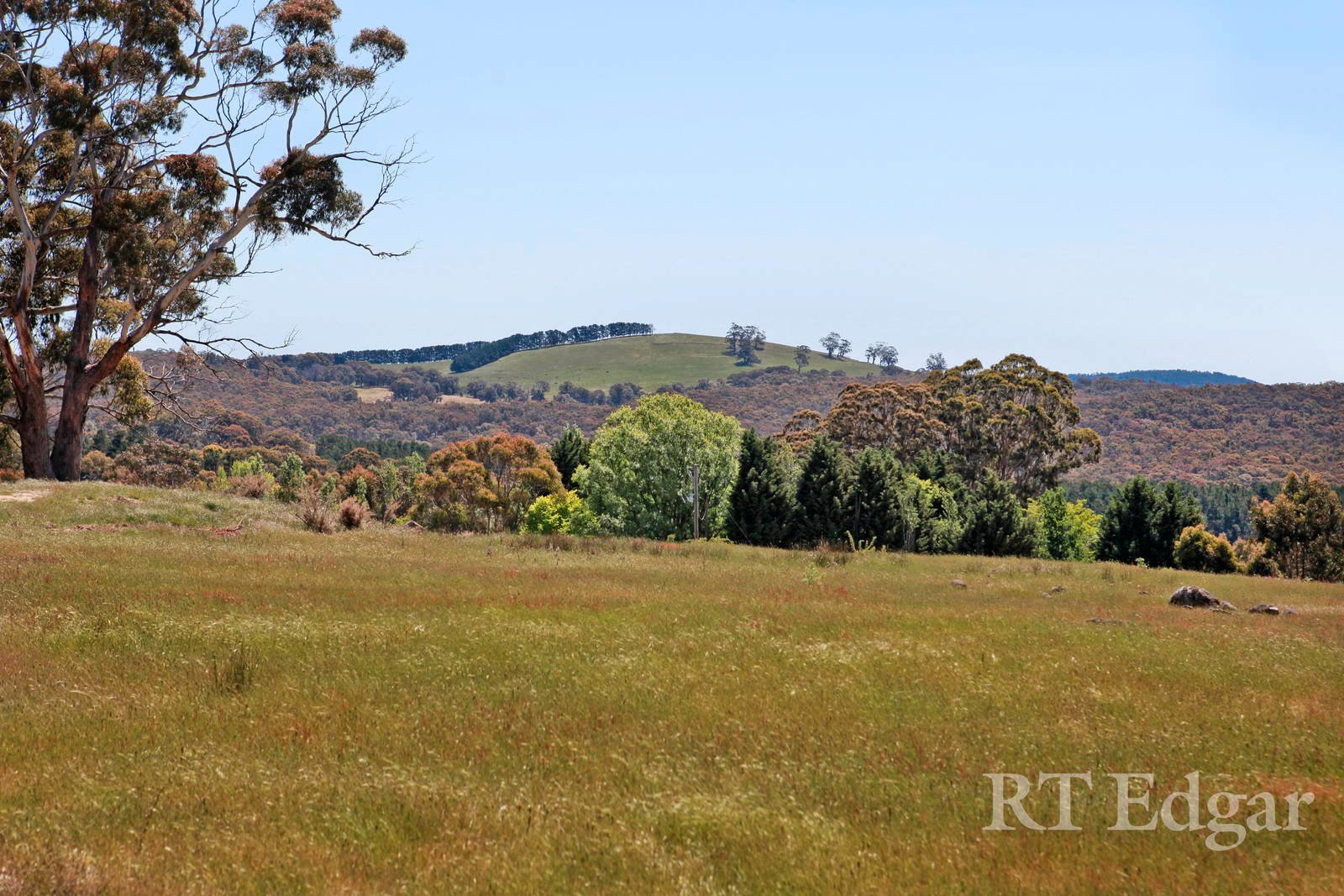 Property Gallery Thumbnail 11