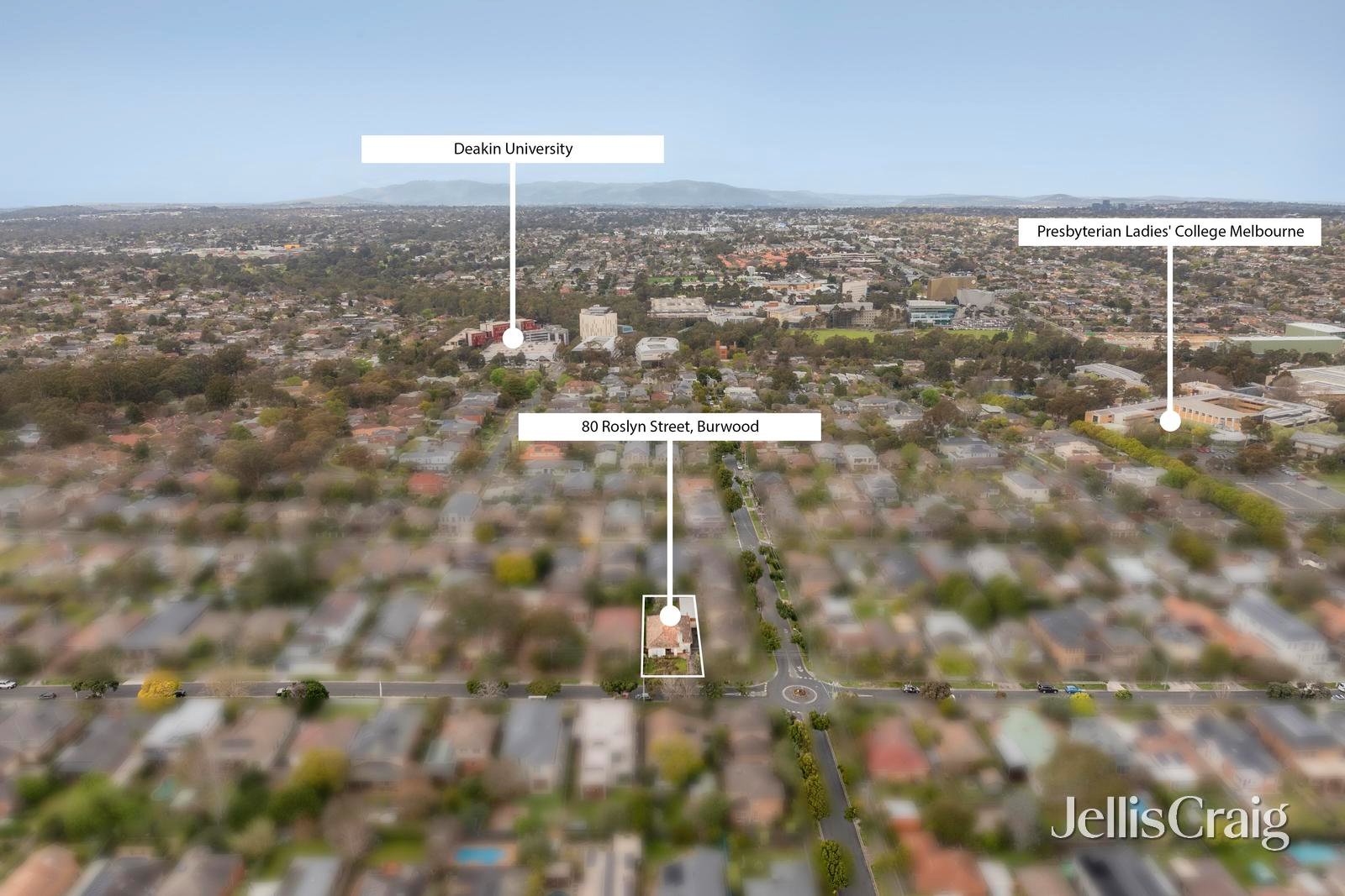 80 Roslyn Street, Burwood image 10