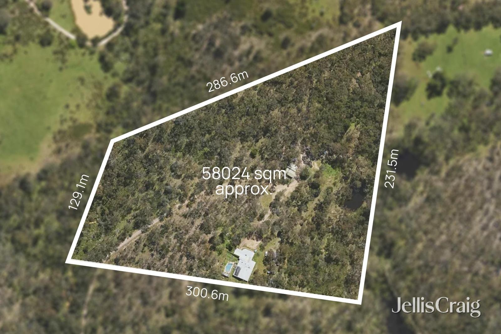 80 Watts Lane, Cottles Bridge image 26