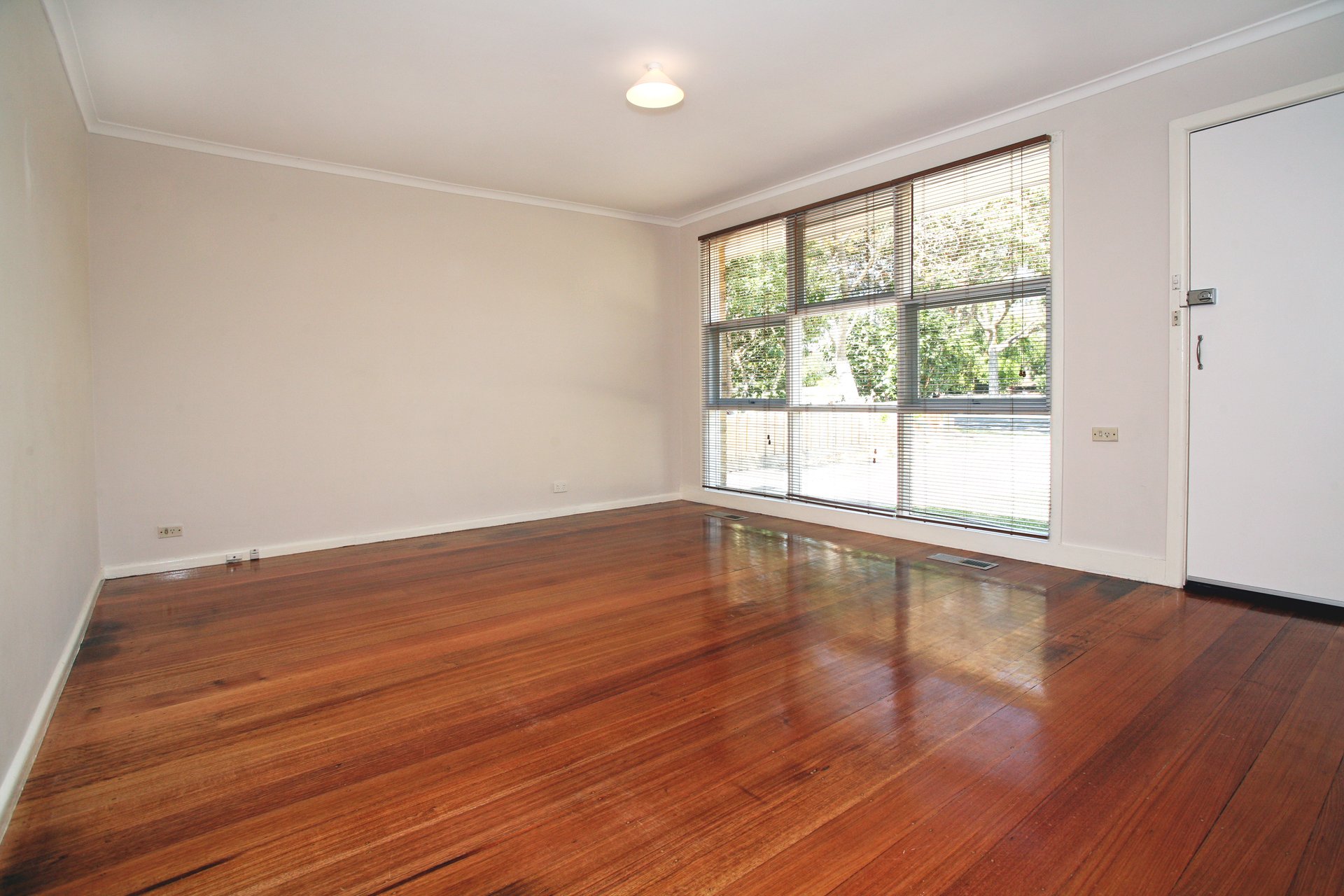 81 Husband Road, Forest&nbsp;Hill image 4