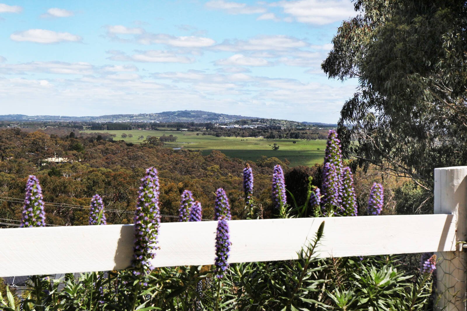 Property Gallery Thumbnail 20
