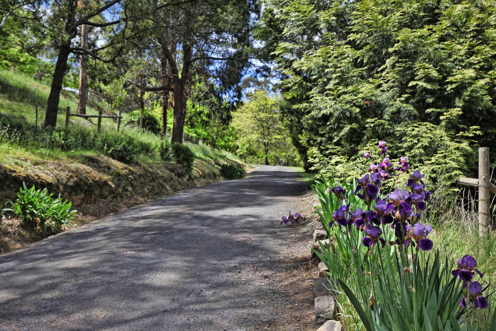 Property Gallery Thumbnail 25
