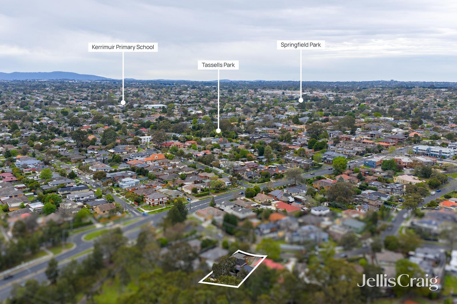 81 Peter Street, Box Hill North image 16