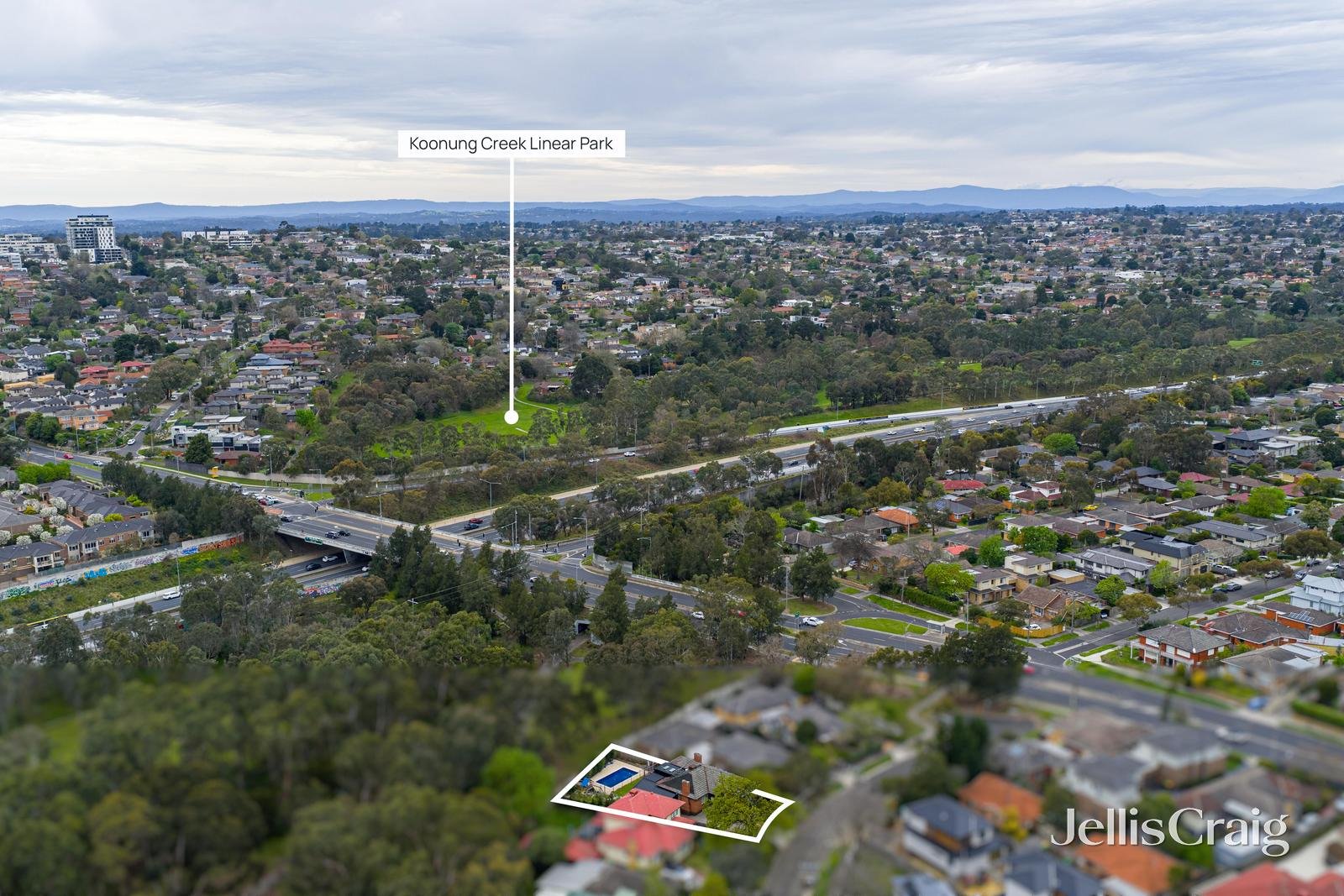 81 Peter Street, Box Hill North image 17