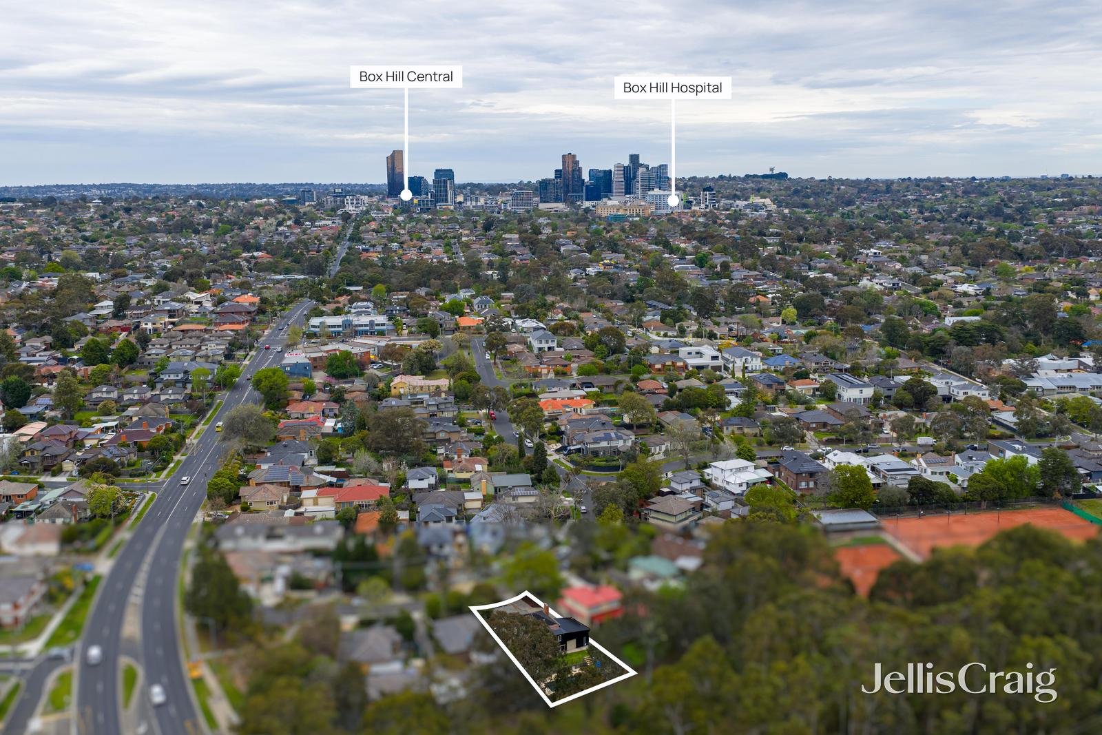 81 Peter Street, Box Hill North image 18