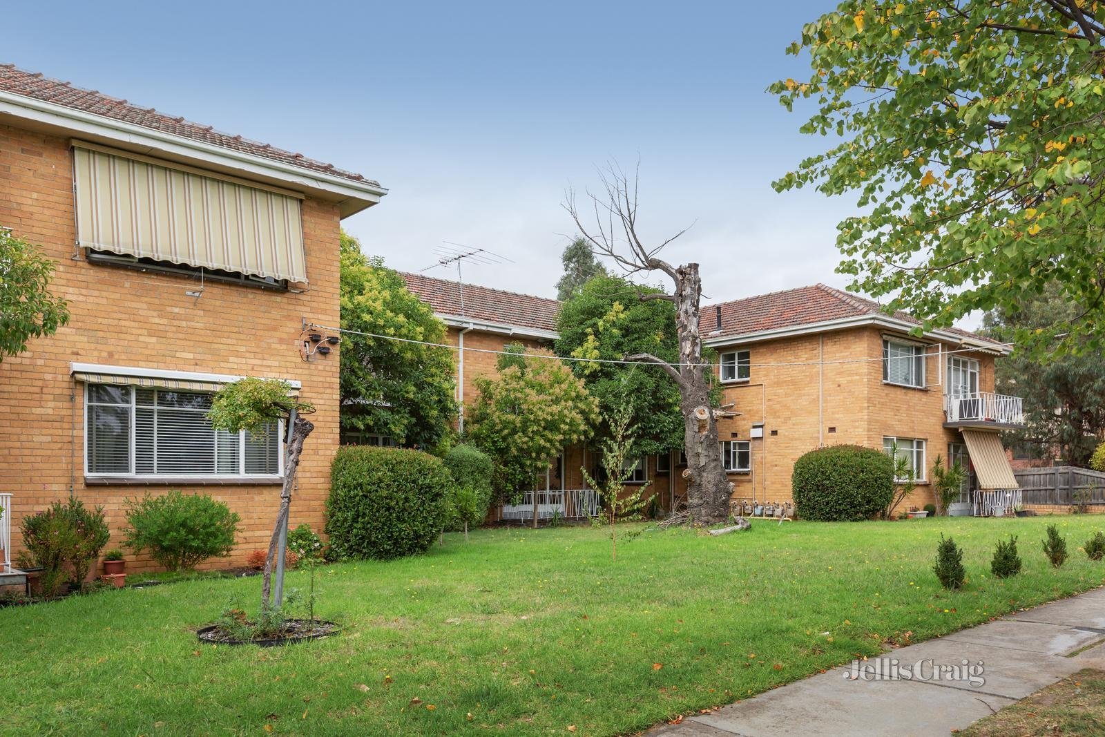 8/1074 Burke Road, Balwyn North image 1