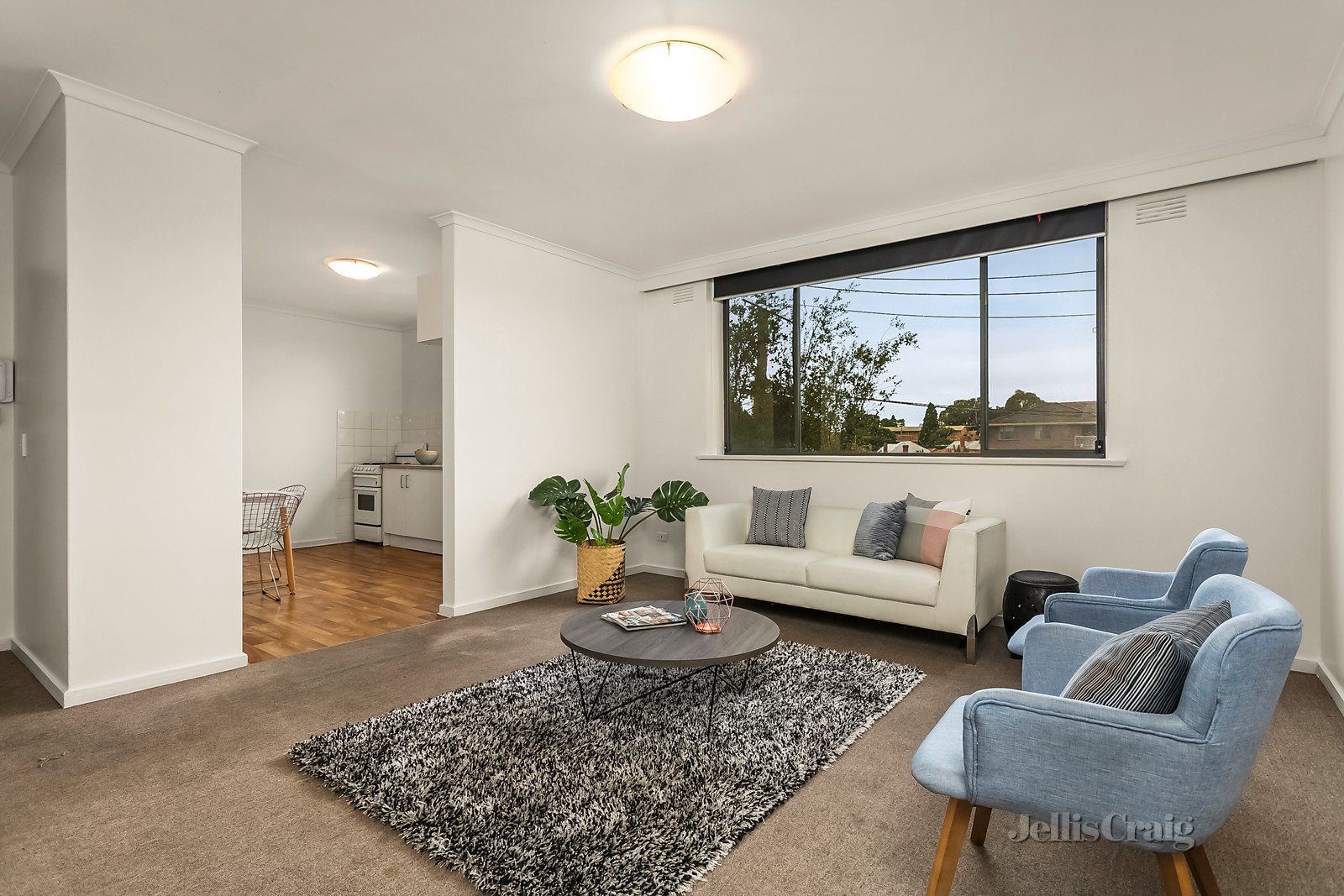 8/123 Epsom Road, Ascot Vale image 1