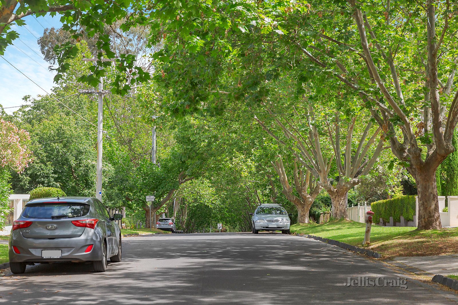 8/14 Yarraford Avenue, Alphington image 7