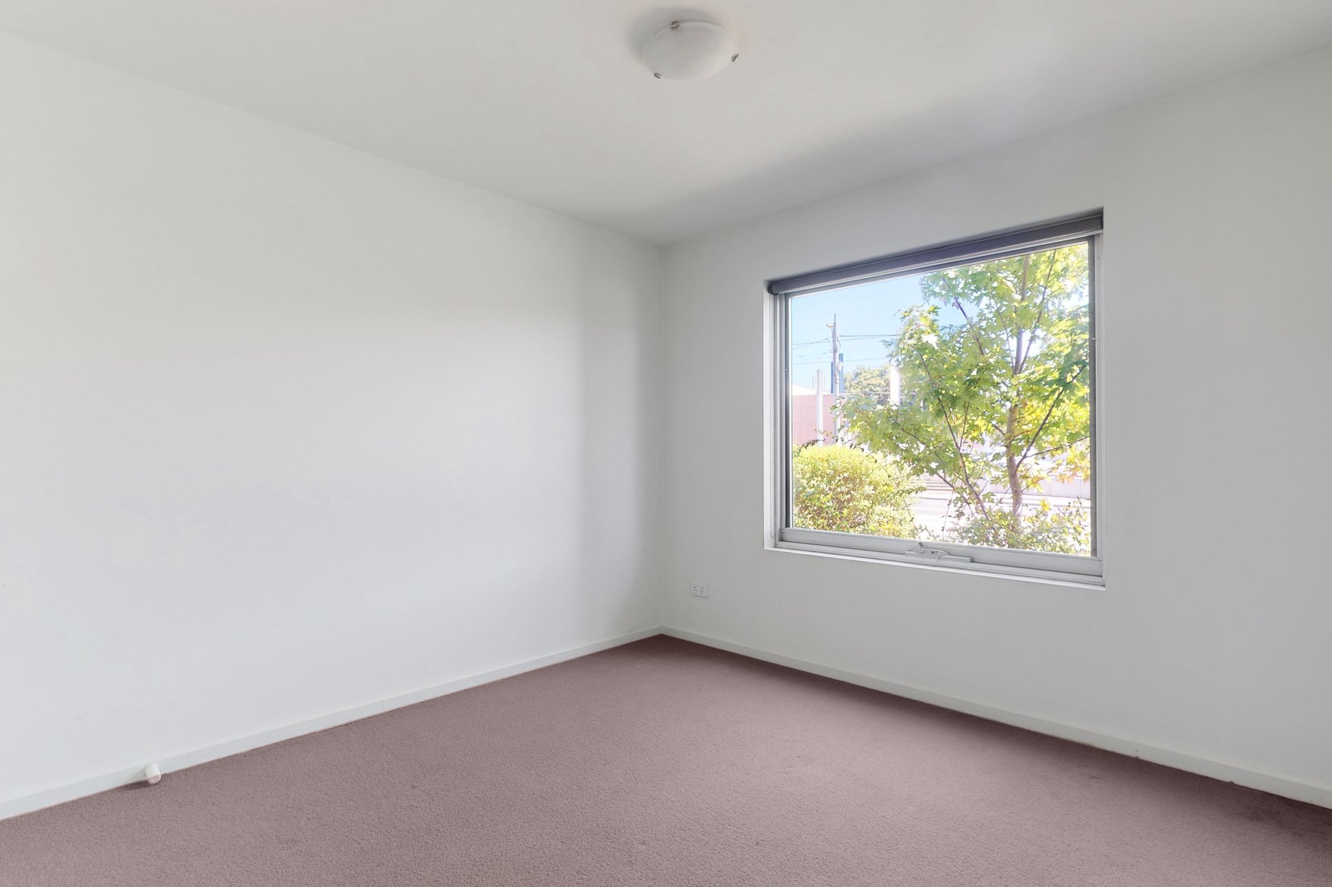 8/157 Epsom Road, Ascot Vale image 5