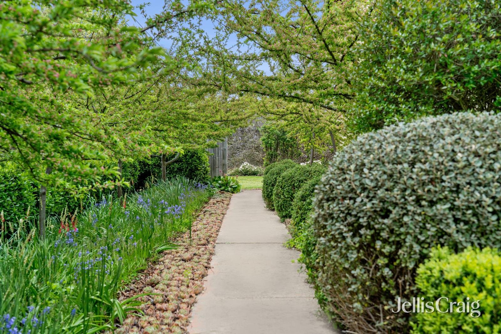 816 Lydiard Street North, Soldiers Hill image 27