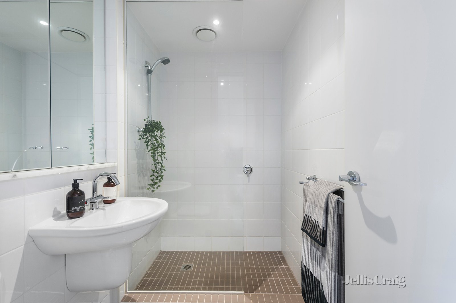 8/185 Auburn Road, Hawthorn image 5