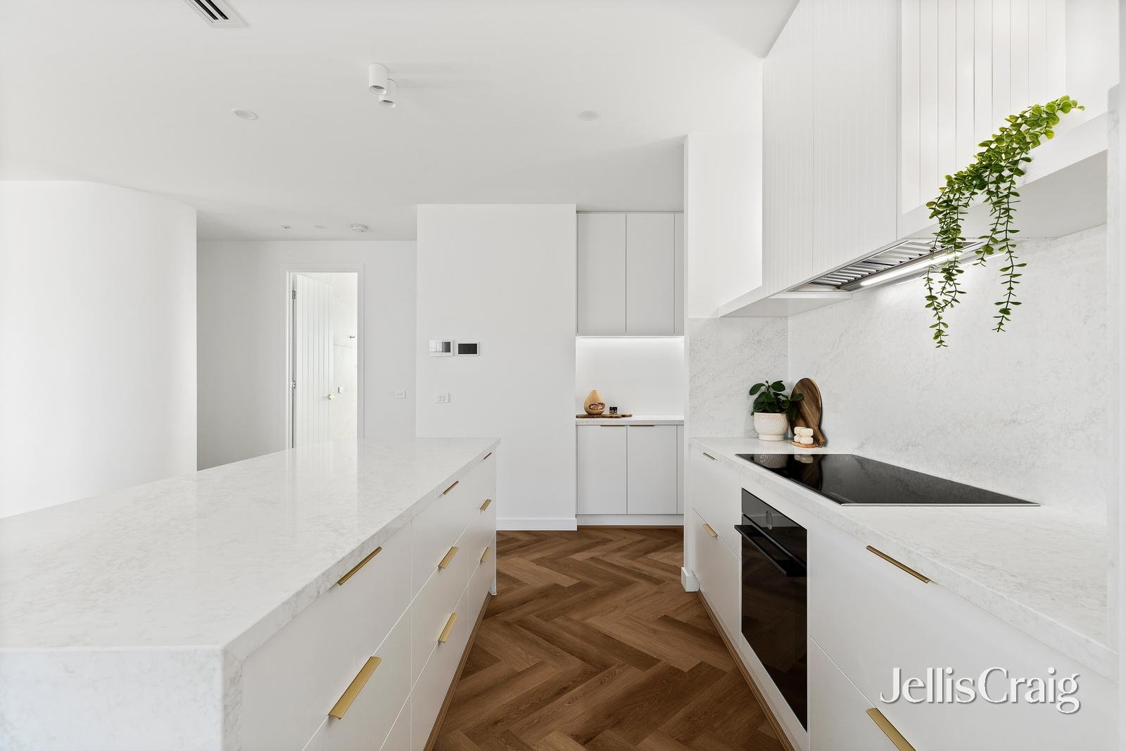 82 Daybreak Vista, Mickleham image 6