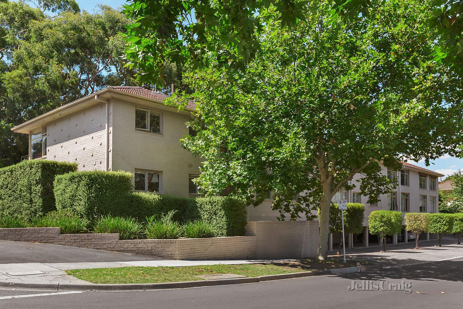 8/2 Grattan Street, Hawthorn image 1