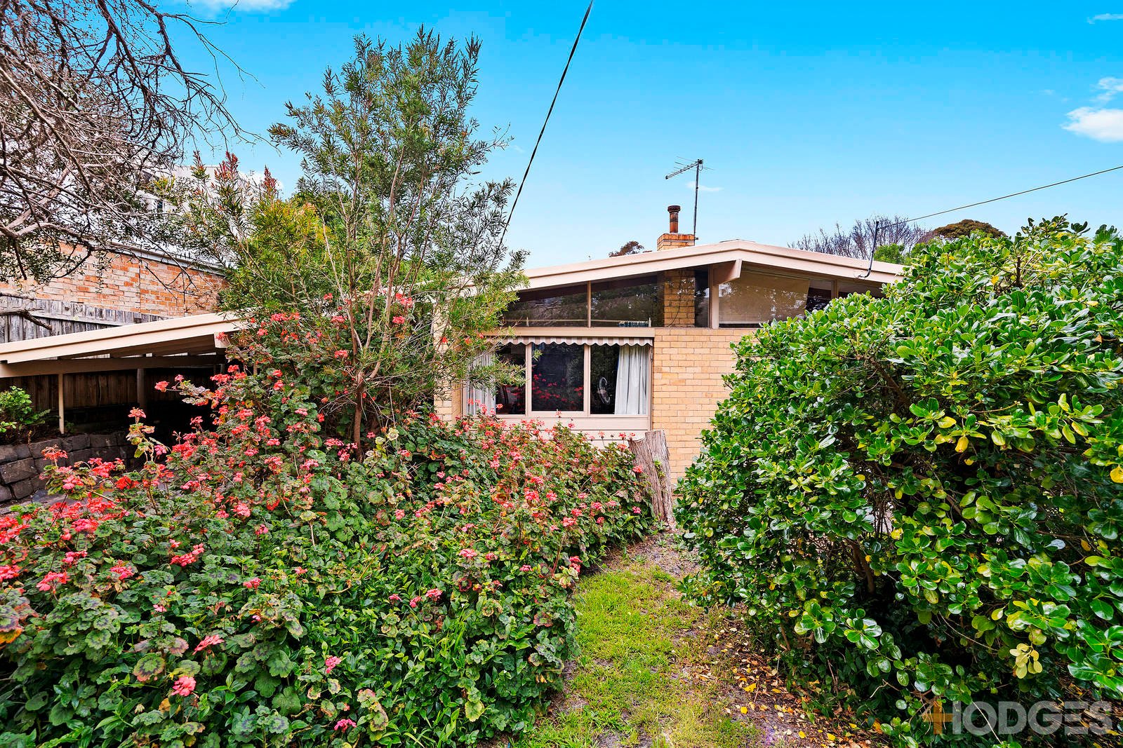 82 Pellatt Street Beaumaris