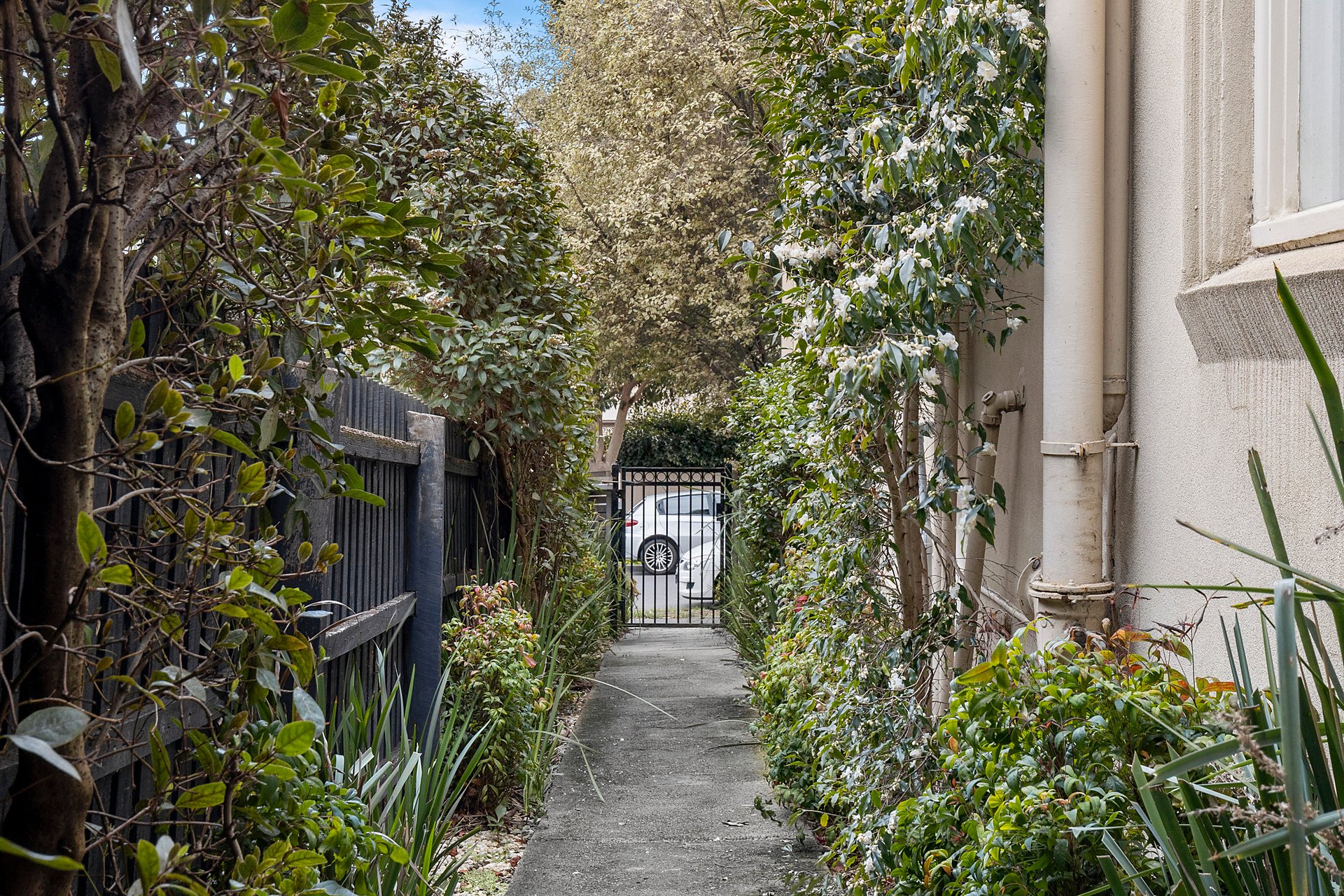 8/21 Elphin Grove, Hawthorn image 8