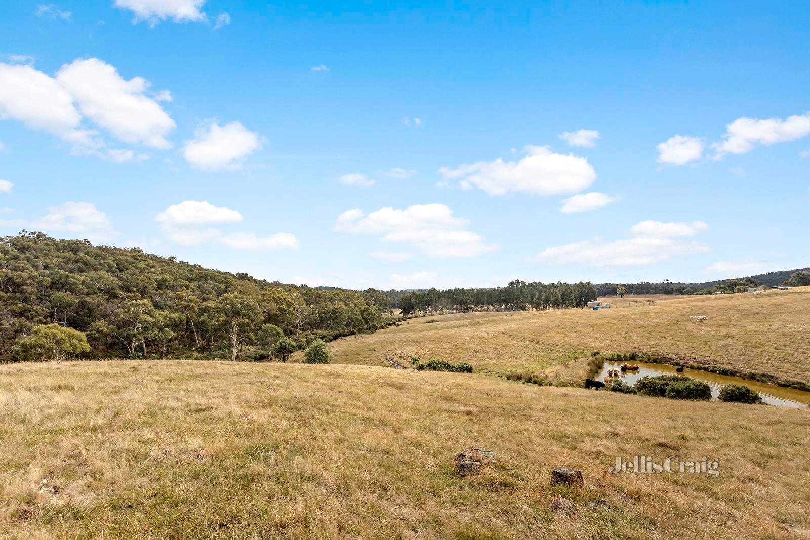 825 Green Gully Road, Glenlyon image 4