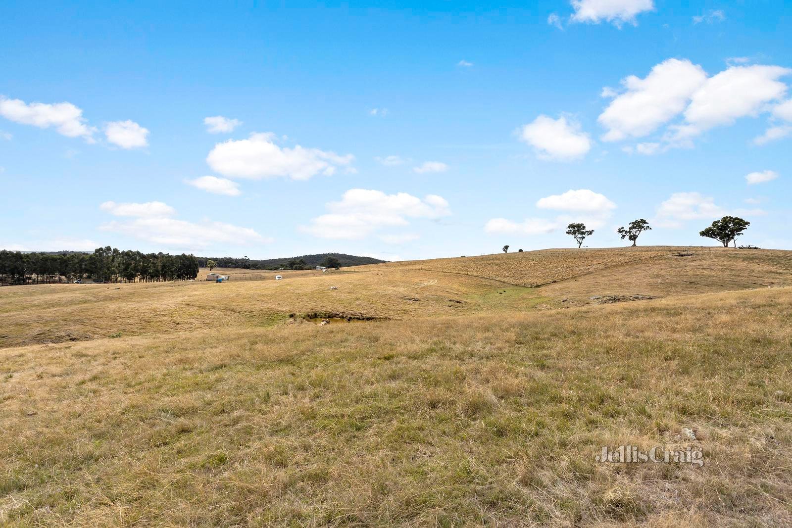 825 Green Gully Road, Glenlyon image 5